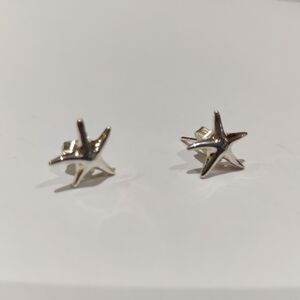 Silver Starfish Stud Earrings